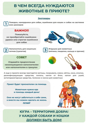 Помощь приютам бездомных животных